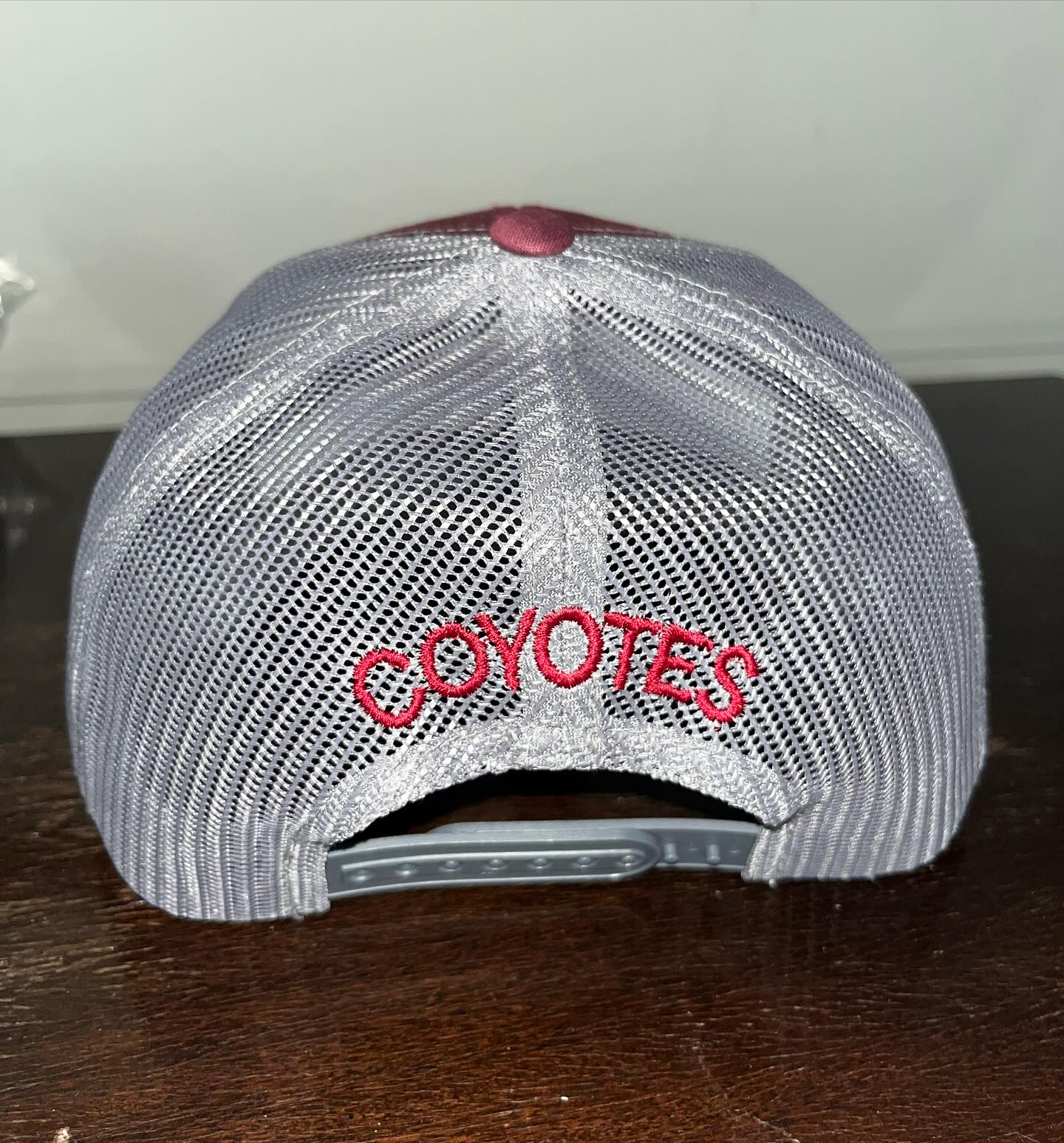 Back-panel embroidery detail on the team snapback.